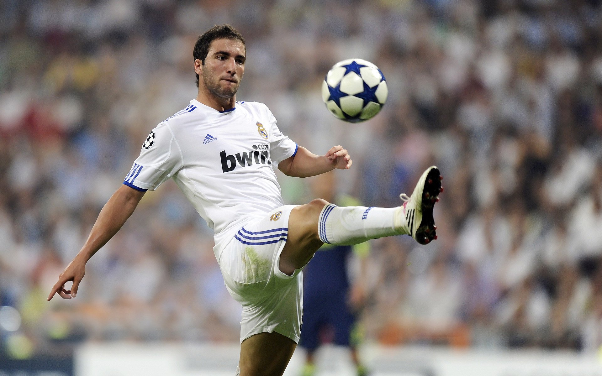 Popovici两次登顶,罗队获关注焦点,pop2.5罗